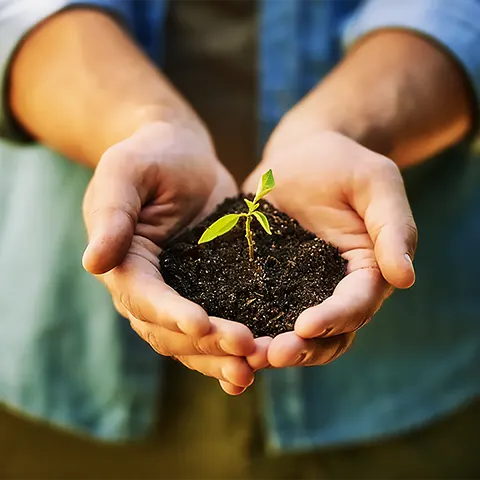 Vasectomia e Reversão de Vasectomia